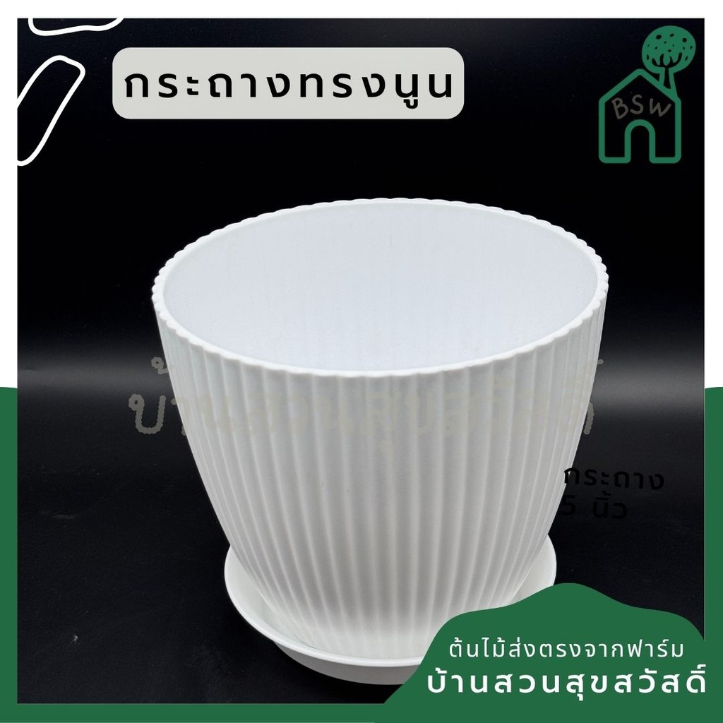 มุมมอง 2