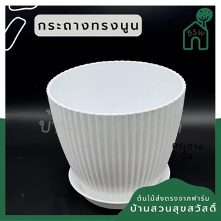กระถางพลาสติกสีขาว ทรงนูน 4-8 นิ้ว