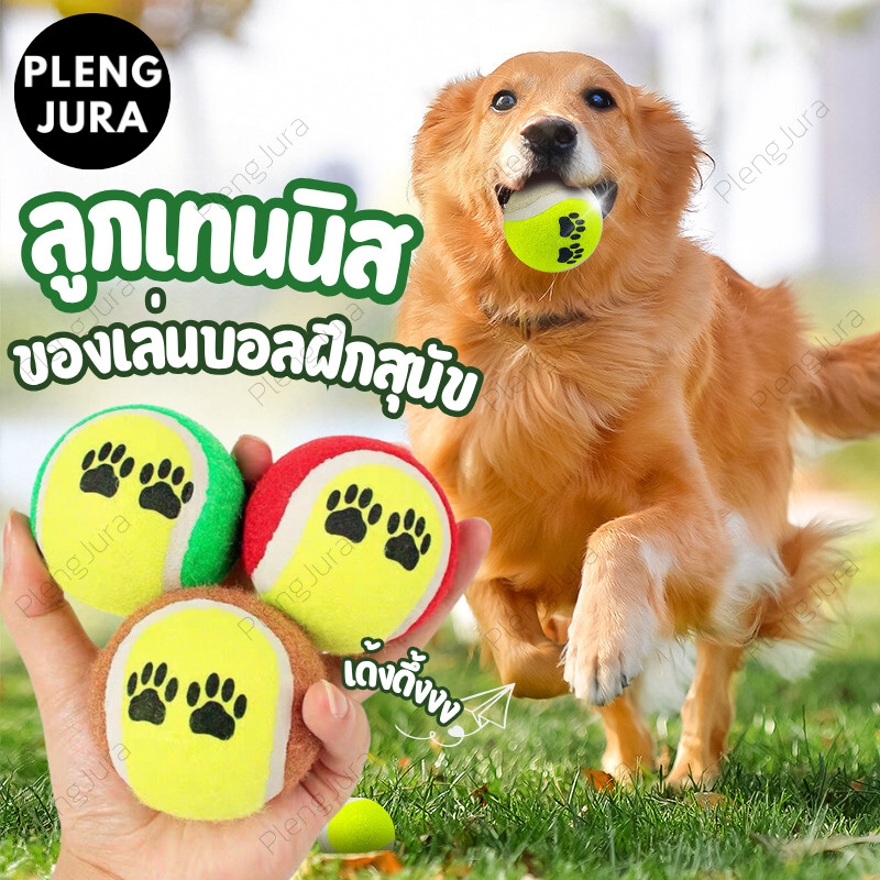PP-252 ลูกเทนนิสของเล่นสำหรับสุนัข เหมาะกับทุกสายพันธุ์ ใช้เล่นโยนไกลและกัดเคี้ยวอย่างสนุกสนาน