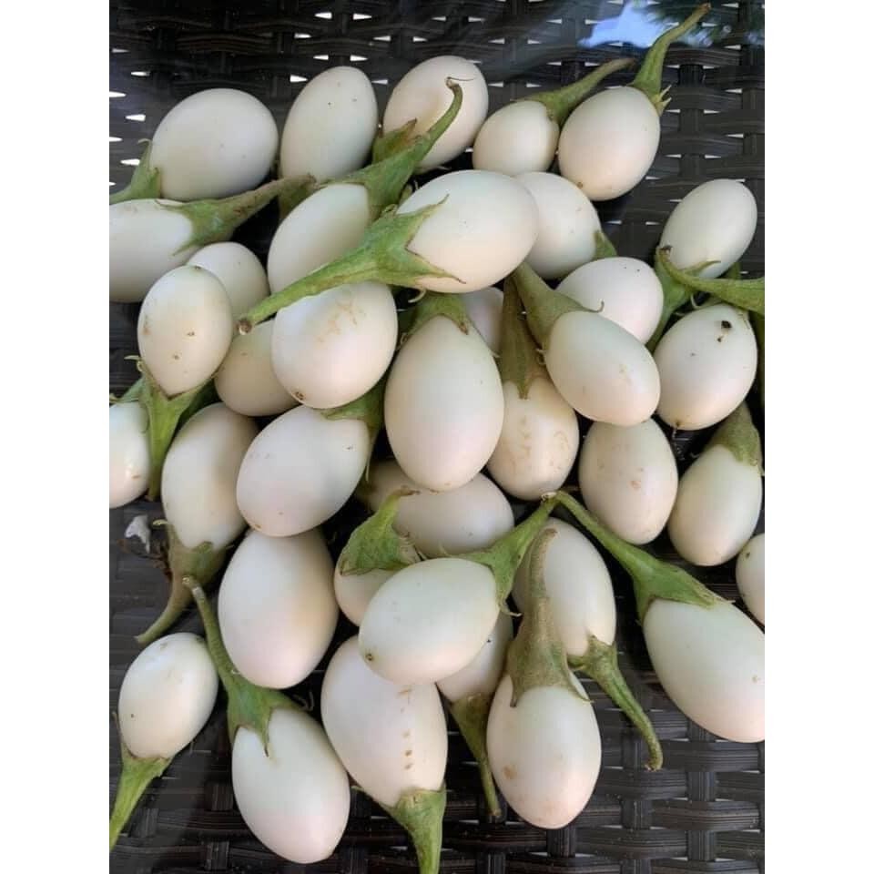 มะเขือไข่เต่าขาวเมล็ดพันธุ์ 40-100 เมล็ด งอกดี โตไว ปลูกง่ายในดินร่วน แดดจัด น้ำดี (10แถม1คละได้) - รูปที่ 4