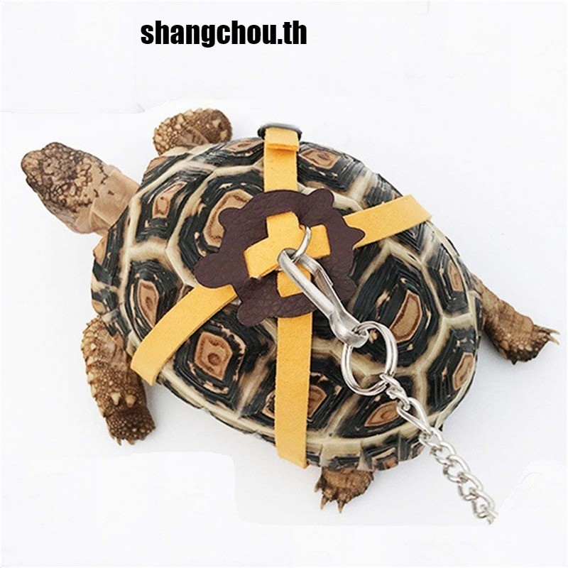 (shangchou.th)(รุ่นอัพเกรดเงียบ) สัตว์เลี้ยงเต่าและเต่าเชือกลากเข็มขัดลากกลางแจ้งเชือกการฝึกอบรม