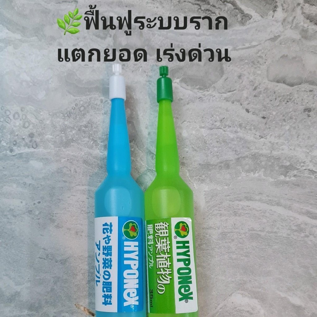 Hyponex ฟื้นฟู ต้น รากใบ ฟื้นฟูต้นโทรม เร่งด่วนรากดูดซึมทันทีใช้ เดือนละ 1-2 ครั้ง ฟ้า เขียว