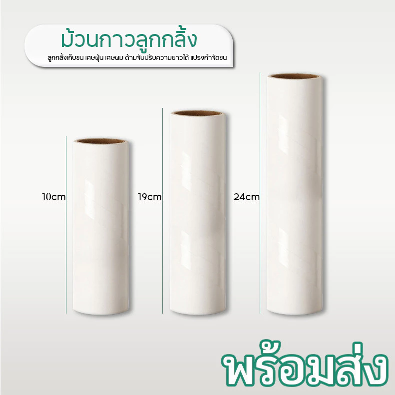 YTL รีฟิลลูกกลิ้งเก็บขนแมว ฝุ่น เสื้อผ้า thumbnail 4