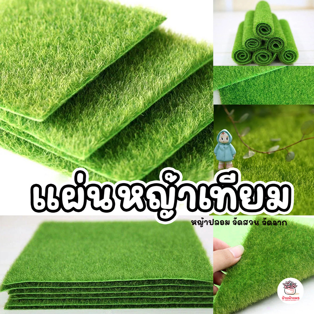 แผ่นหญ้าเทียม หญ้าปลอม จัดสวน จัดฉาก แคคตัส กระบองเพชร cactus&succulent