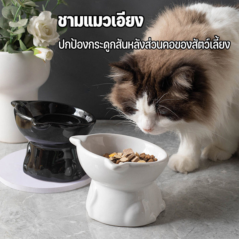 พร้อมจัดส่ง😽😻 ชามอาหารแมวเซรามิค  ป้องกันการพลิกคว่ํา  ชามอาหารสัตว์เลี้ยง น่ารักมาก สุนัข แมว - รูปที่ 2