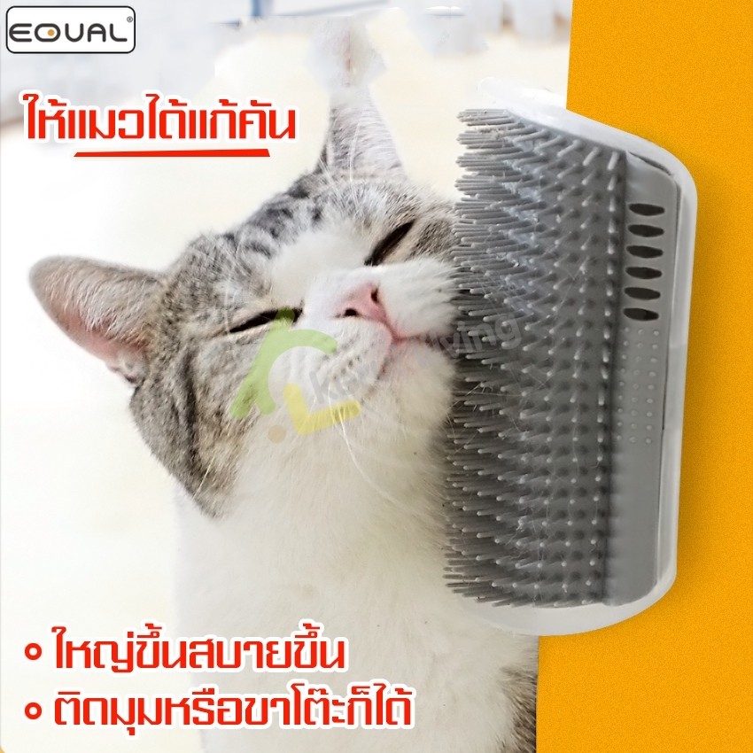 EQUAL แปรงหวีสัตว์เลี้ยง แปรงนวดแมว แบบติดผนัง ทำความสะอาดง่าย มี 4 สีให้เลือก