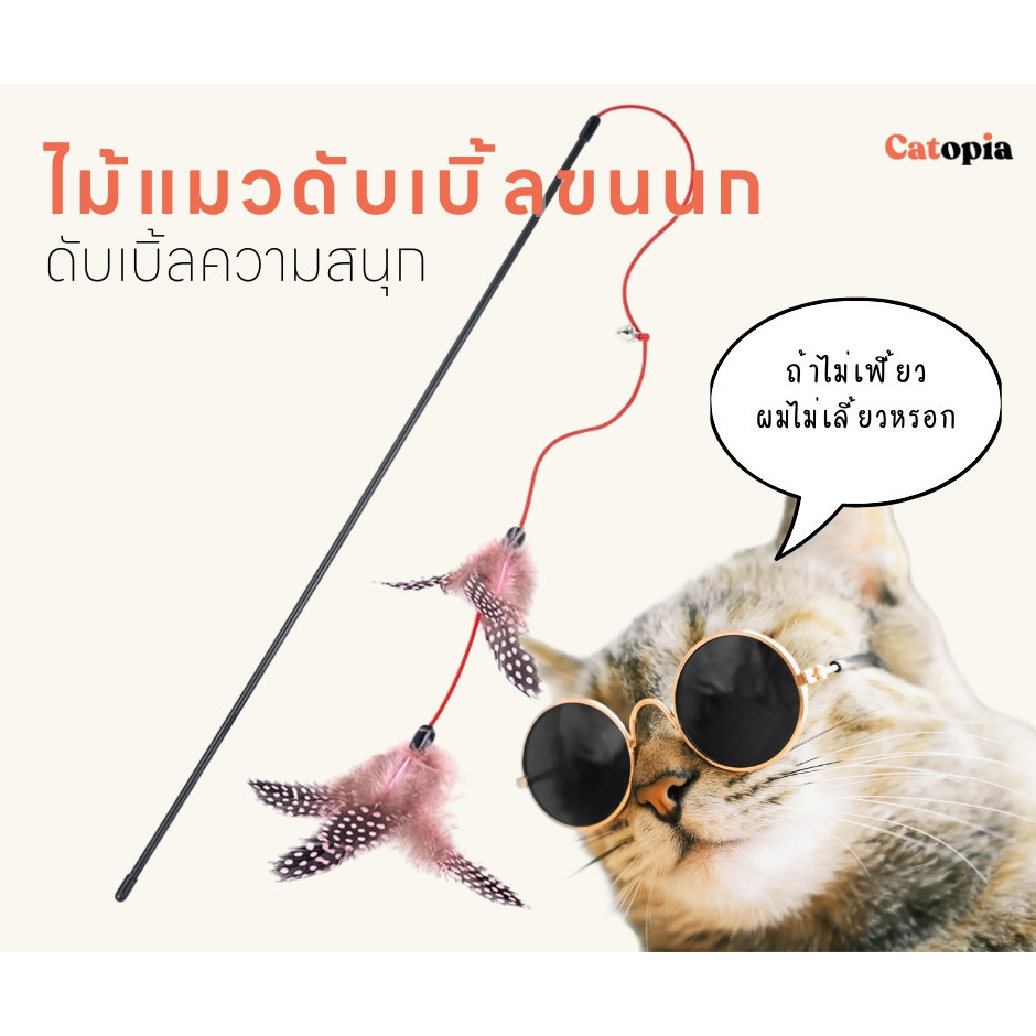[พร้อมส่ง ] ไม้แมวดับเบิ้ลขนนก ดับเบิ้ลความสนุก ไม้ตกแมว ไม่ล่อแมว ขนนกล่อแมว