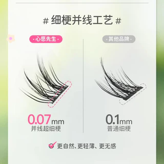 Mr.wish Animal 2.0 False Eyelashes Beautiful Mouse Bird Chirp Fox White Glue Novice Style Lazy Three-step Eye Makeup Tool