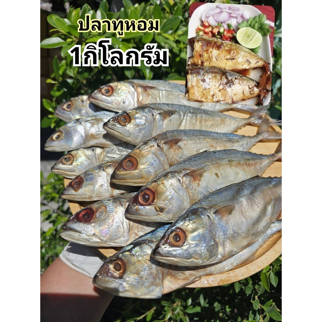 ปลาทูหอมแม่กลองเกรดA - 1กิโลกรัม  /สินค้าตรงปก