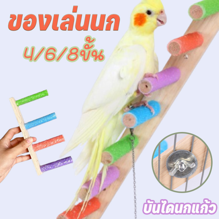 พร้อมส่ง บันไดนกแก้ว 4/6/8ขั้น ของเล่นนก ของเล่นบันไดกรงนก ติดตั้งง่าย บันไดติดข้างกรงสัตว์เลี้ยง