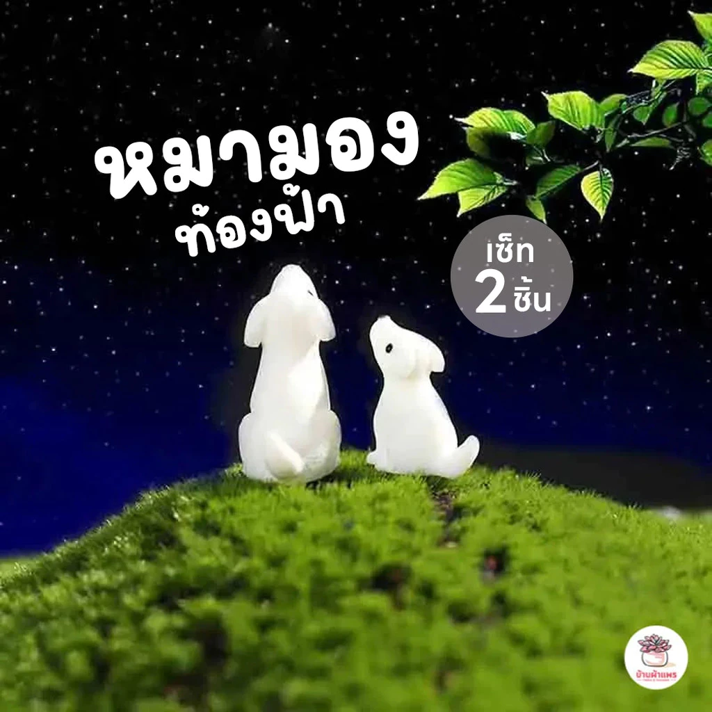 หมามองท้องฟ้า [ เซต 2 ชิ้น ] ตุ๊กตาจิ๋ว โมเดลจิ๋ว แต่งสวน ตุ๊กตาแต่งสวนจิ๋ว ตุ๊กตาจัดสวนถาด