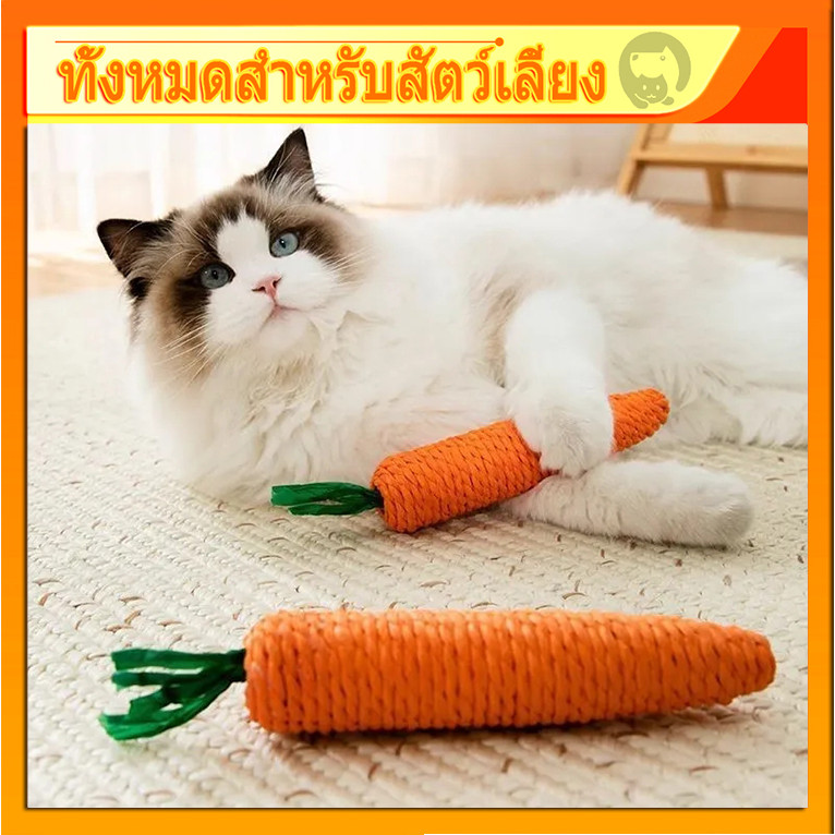 ของเล่นแมวกัด รูปแครอท ไม้แมวเมา ไม้แมวเมา ไม้ขัดฟัน ไม้ขัดฟันแมว ของเล่นแมว มีเสียง ี แมว ของเล่นสัตว์เลี้ยง