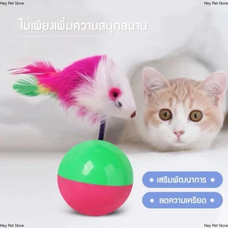 ของเล่นแมว ของเล่นคลายเครียด บอลกรงหนู บอลของเล่นแมว ลูกบอลล้มลุก หนูล้มลุก บอลกรงหนู บอลของเล่นแมว