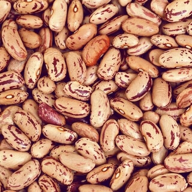 Pinto Beans - Rajma - ถั่วแดงหลวง - ถั่วปินโต 500 g. ราคา ถูก / ส่ง