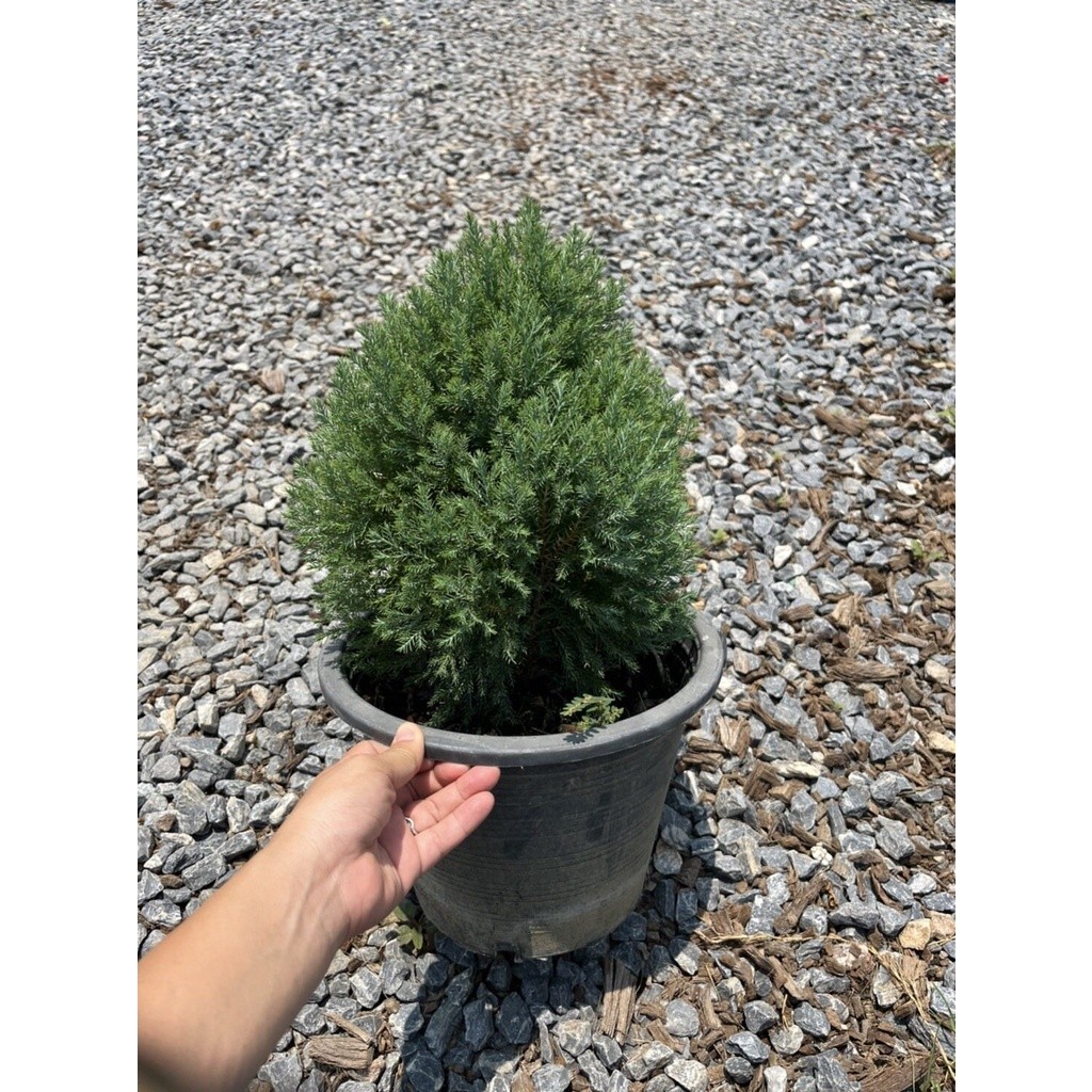 มุมมอง 3