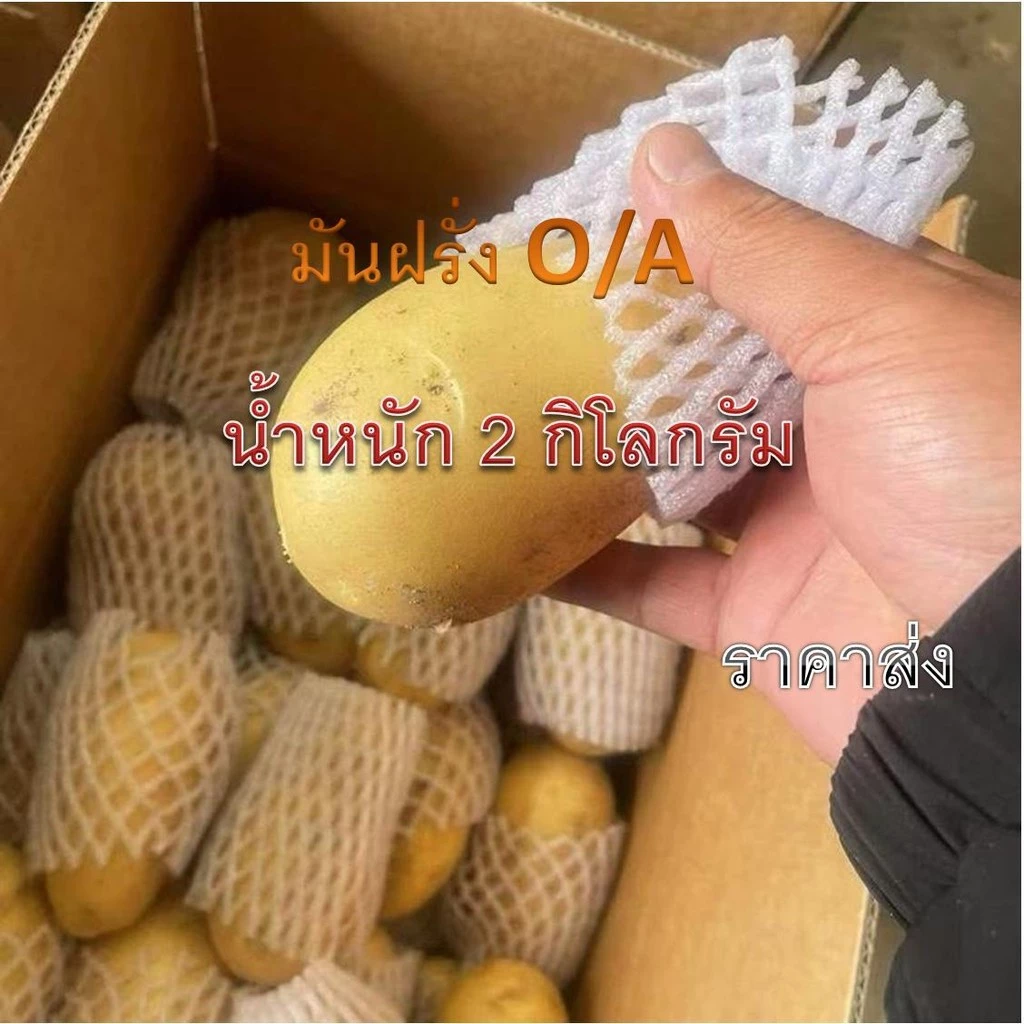 มันฝรั่งสด มันฝรั่งนอกO/A หัวใหญ่ น้ำหนัก 2 กิโลกรัม