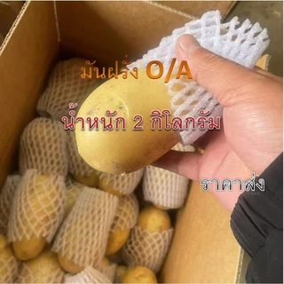 มันฝรั่งสด มันฝรั่งนอกO/A หัวใหญ่ น้ำหนัก 2 กิโลกรัม