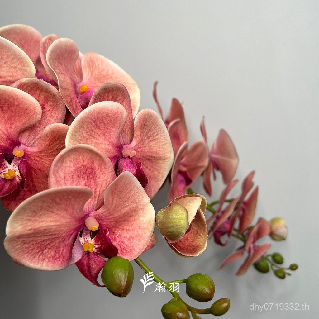 Big Feel Phalaenopsis การถ่ายภาพจําลองดอกไม้ช่อดอกไม้ปลอมดอกไม้งานแต่งงาน Head Dress Up Photo Props 