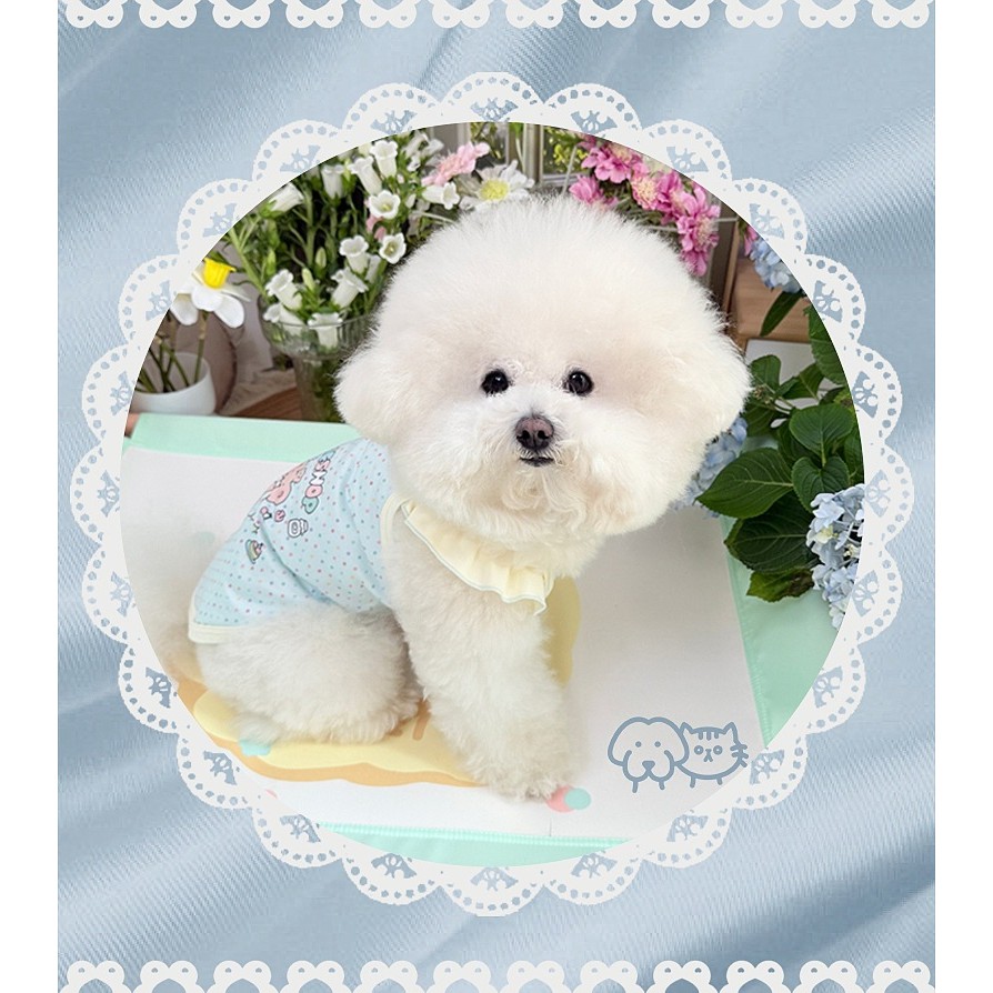 รูปภาพ 8