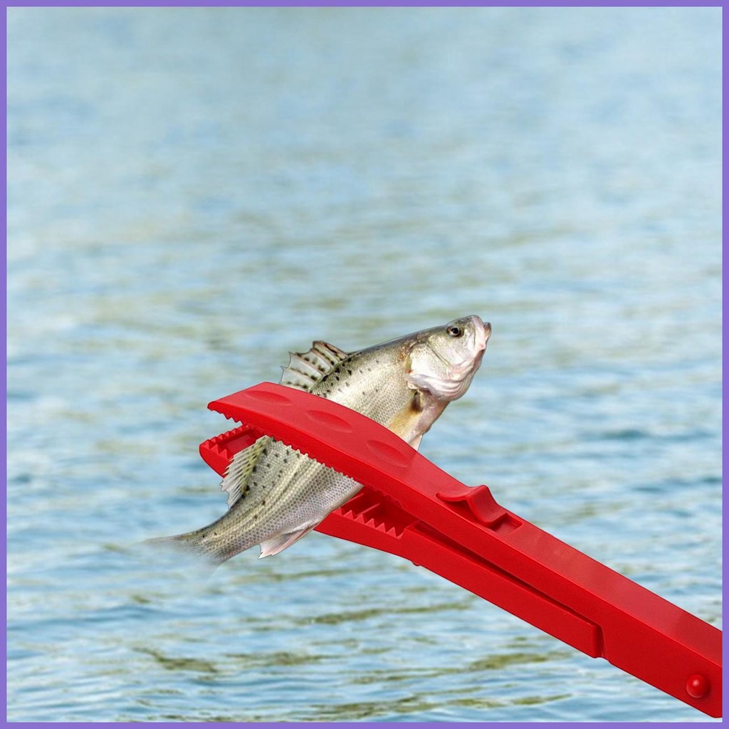 Fish Claw Gripper ใช้งานได้จริง Fish Clamp Grippers Claw Fish Gripper Ergonomic Fish Grabber Claw คี