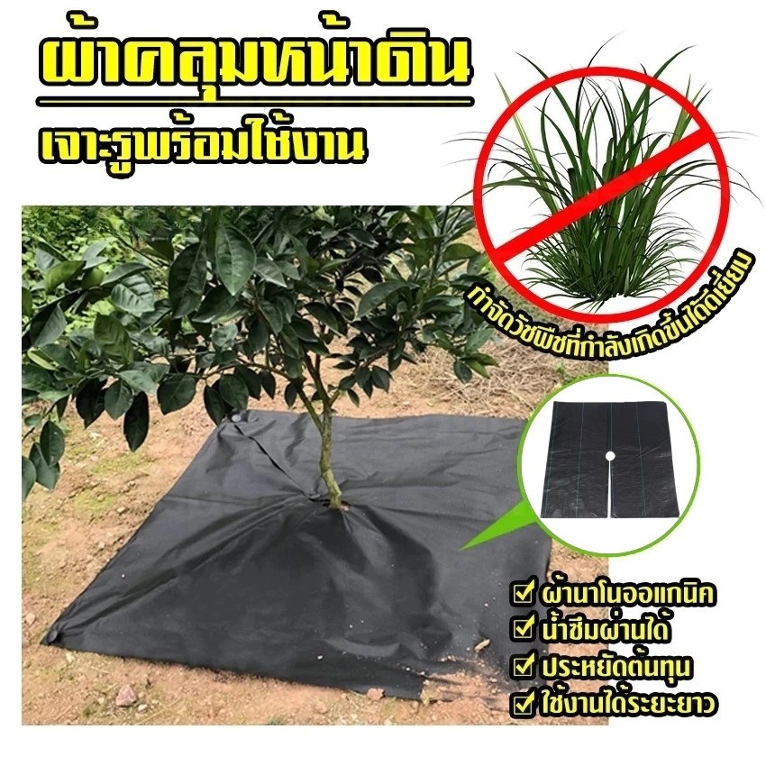 [แบบเพิ่มหนา] ผ้าป้องกันวัชพืชเจาะรู ผ้าป้องกันวัชพืช พลาสติกคลุมดิน วัชพืช ผ้าคลุมดิน กําจัดวัชพืช