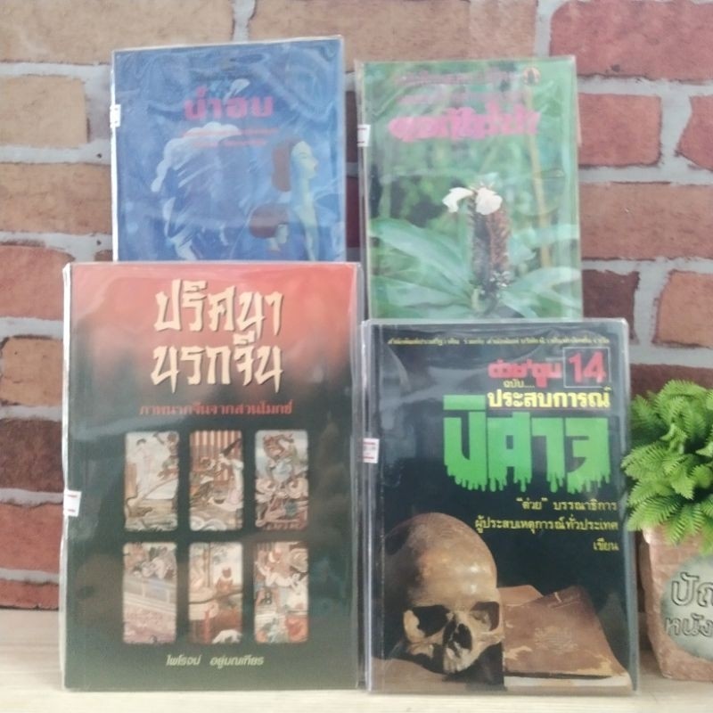 หนังสือวรรณกรรม : ปริศนานรกจีน 21311 เพียงหญิง 21312 ประสบการณ์ปีศาจ 21313 ดอกไม้ป่า 21314