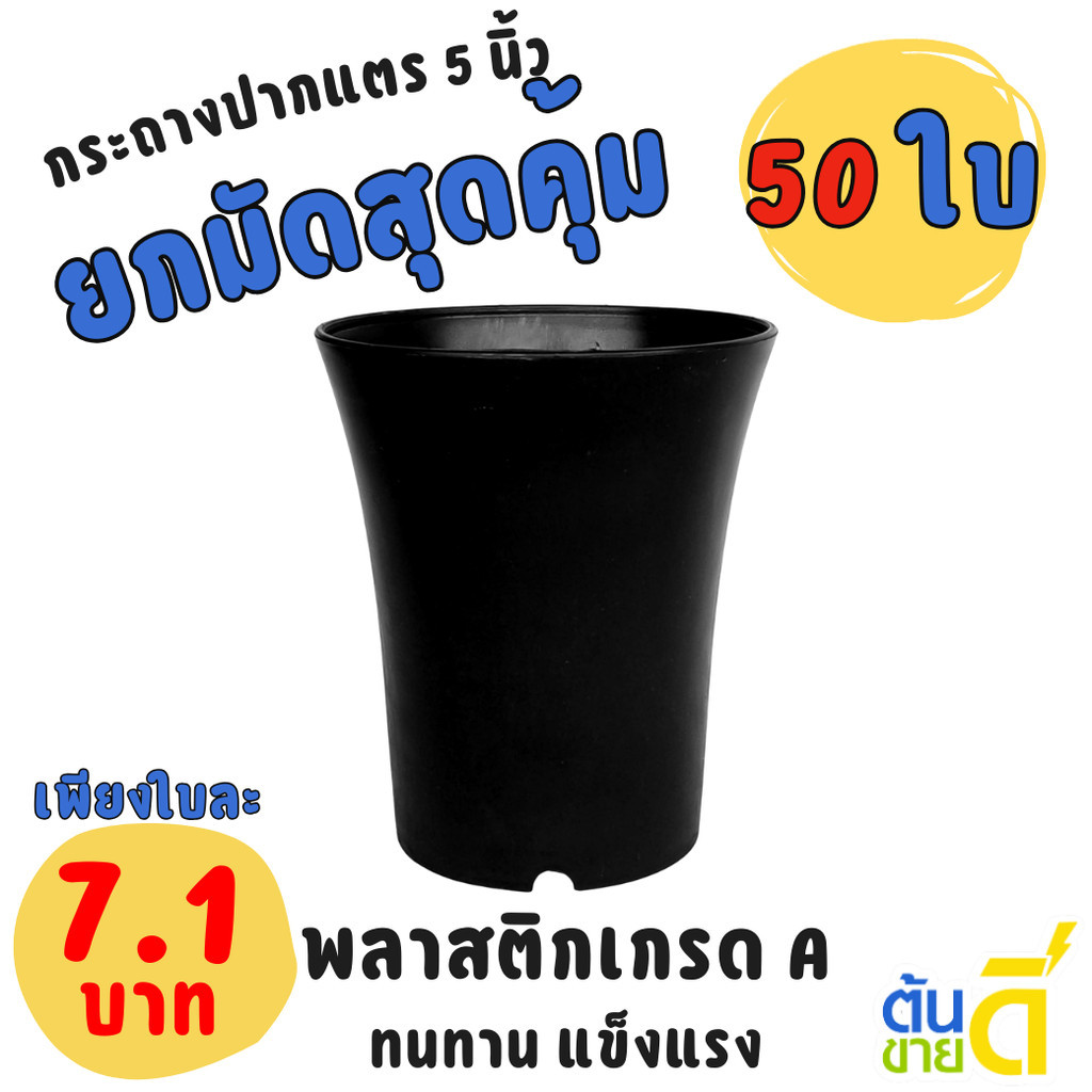กระถาง กระถางแคคตัส กระถางปากแตร 5 นิ้ว สีดำ Bundle 50 ใบ ชิ้น อัน