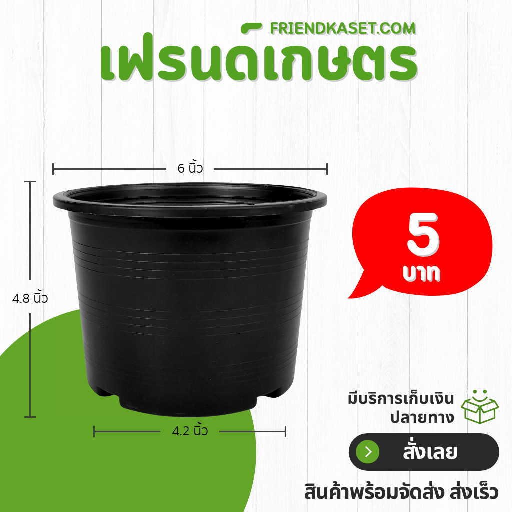 กระถาง กระถางต้นไม้ กระถางพลาสติก เบอร์ 6 นิ้ว สีดำ Bundle 50 ใบ