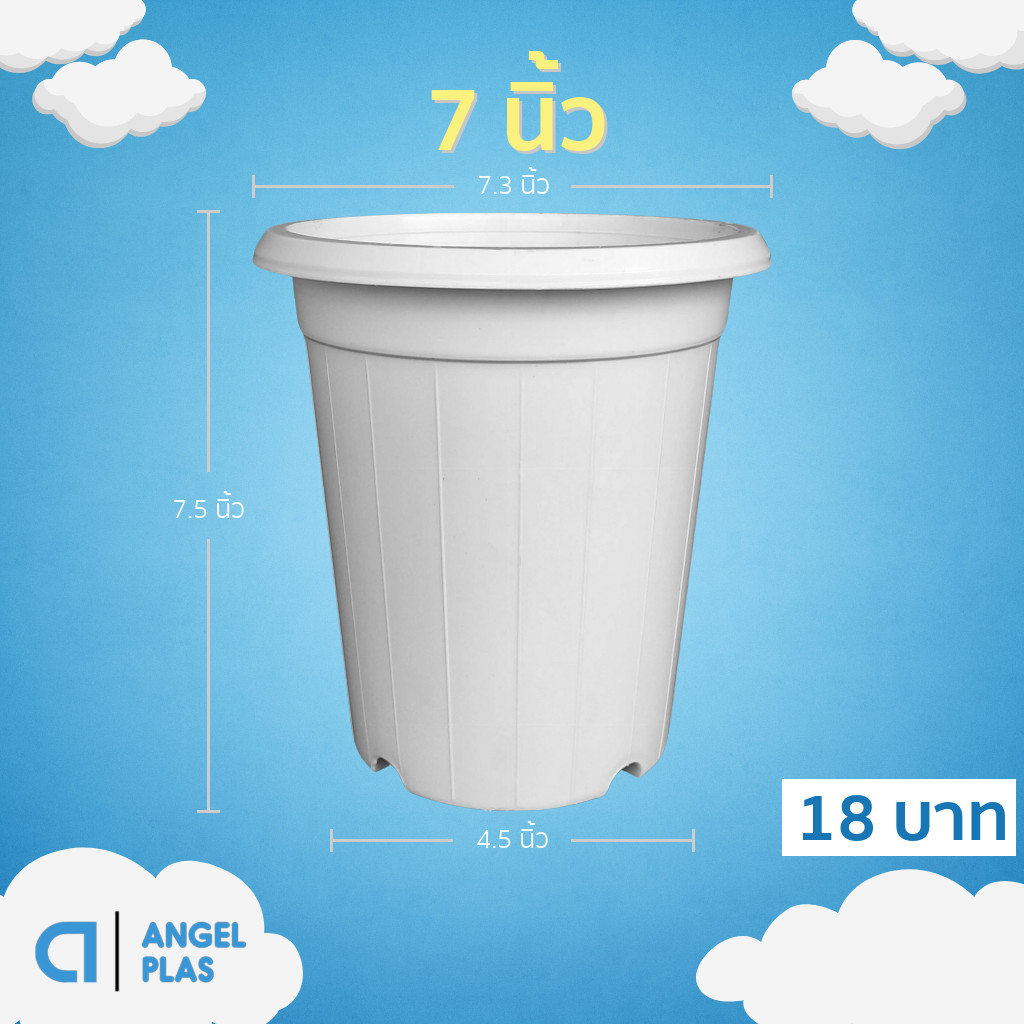 กระถาง แคคตัส ไม้กราฟ ทรงสูง 7 7.3 8 นิ้ว สีขาว Bundle 50 ใบ