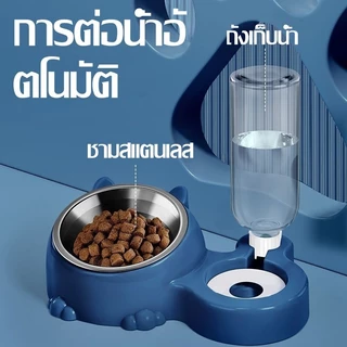 ชามให้อาหารพร้อมน้ำสำหรับสุนัขและแมว ชามให้อาหารสัตว์เลี้ยง ชามให้อาหารแมว 2 in 1 ชามอาหารสัตว์ ชามสแตนเลส