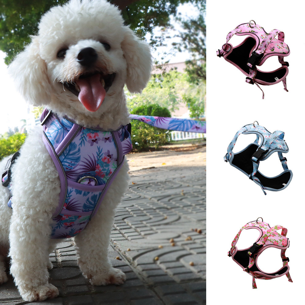 【XIAOYU Pet House】 อุปกรณ์สําหรับสัตว์เลี้ยงพิมพ์สัตว์เลี้ยงหน้าอกกลับสุนัขสไตล์ใหม่ชุดสายจูงหลังม้า
