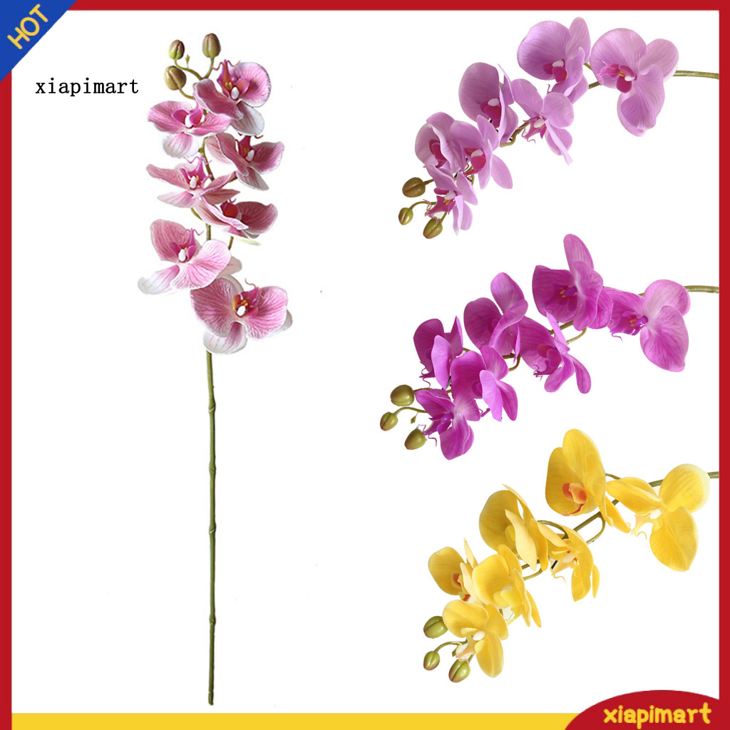 {xiapimart} 1 ชิ้น Faux Orchid Plant ธรรมชาติที่สมจริงผลิตภัณฑ์ในครัวเรือน Orchid พืชประดิษฐ์ตกแต่งส