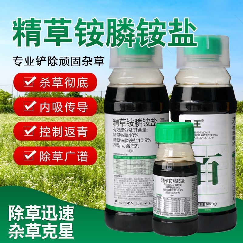 หญ้ากลั่น Ammonium Ammonium Salt Herbicide หญ้ากลั่น Ammonium Phosphorus ฆ่าวัชพืชชั่วร้ายสารานุกรมก