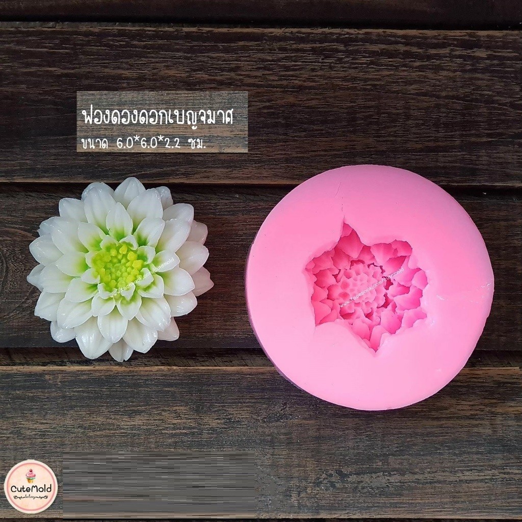 แม่พิมพ์ฟองดอง ดอกเบญจมาศ (B25)