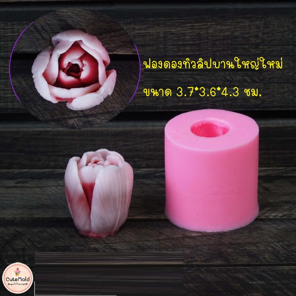 ฟองดองทิวลิป บาน ใหญ่ ใหม่