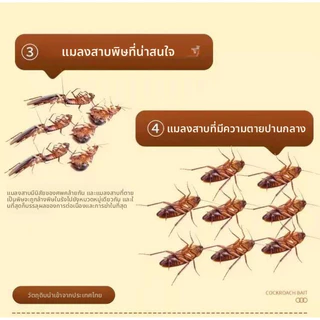 YTL ฆ่าทั้งรัง แปะฆ่าแมลงเหยื่อล่อแมลงสาบยากําจัดแมลงสาบ 1กล่องมี10ชิ้น มีประสิทธิภาพ 100%