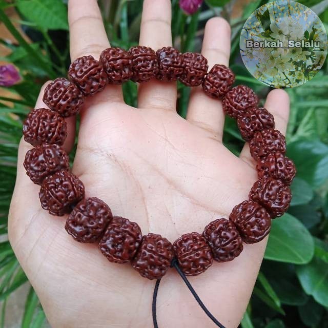 RUDRAKSHA JENITRI GOOD QUALITY BRACELET Berkah_Alway
