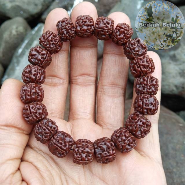 Jenitri Chocolate Rudraksha Chocolate Bracelet Original Berkah_Alway