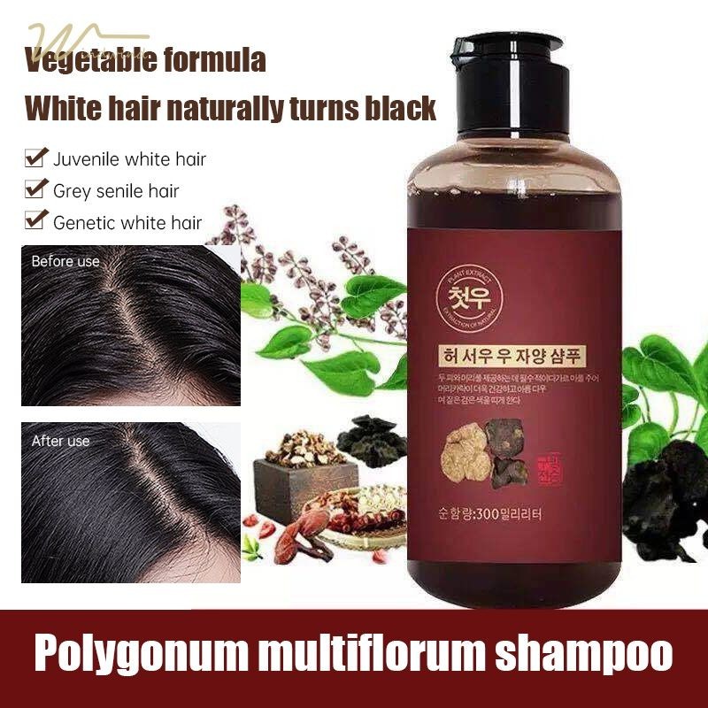 [Windind]ยาสระผมขจัดรังแค 500ml แชมพูแก้คัน ยาสระผมผมร่วง แชมพูขจัดรังแค ควบคุมความมัน ขจัดรังแค ลดผมร่วง บํารุงรากผม