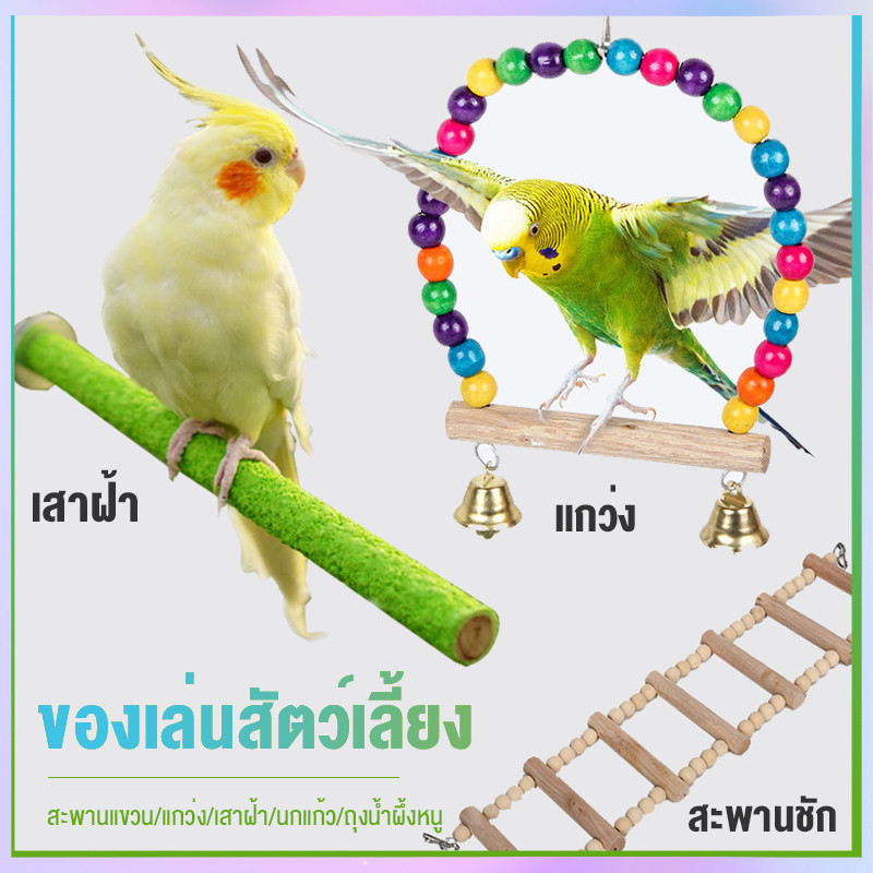 ✈️สินค้าอยู่ในไทย พร้อมส่ง✈️คอนลับเล็บ ชิงช้าสำหรับนกเล็ก ของเล่นนก