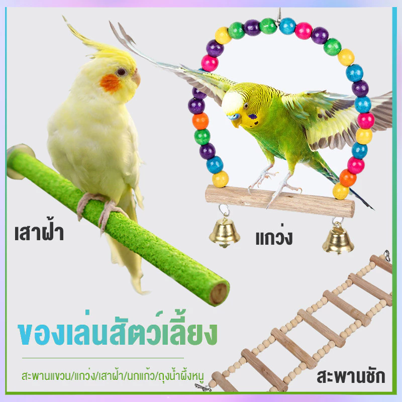 ✈️สินค้าอยู่ในไทย พร้อมส่ง✈️คอนลับเล็บ ชิงช้าสำหรับนกเล็ก ของเล่นนก