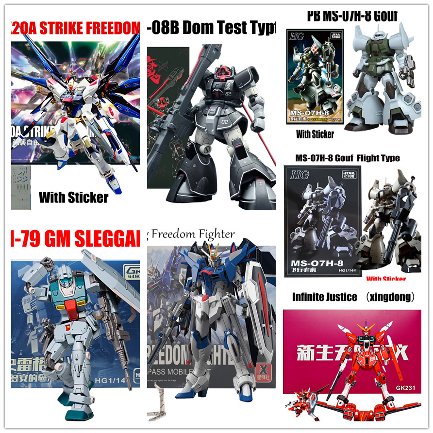 Gouf Flight Type Gundam Hg Infinite Justice STRIKE Freedom Dom Test Typt Rising Freedom RGM-79 GM โม