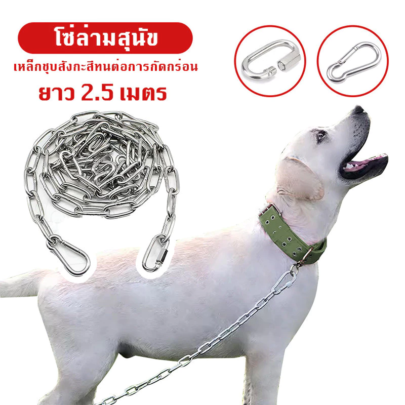ยาว2.5 เมตร ขนาดโซ่ 3mm🐶เหล็กชุบสังกะสี โซ่ปลอกคอสุนัข โซ่ฝึกสุนัข ไม่เป็นสนิม โซ่จูงสุนัข โซ่หมา