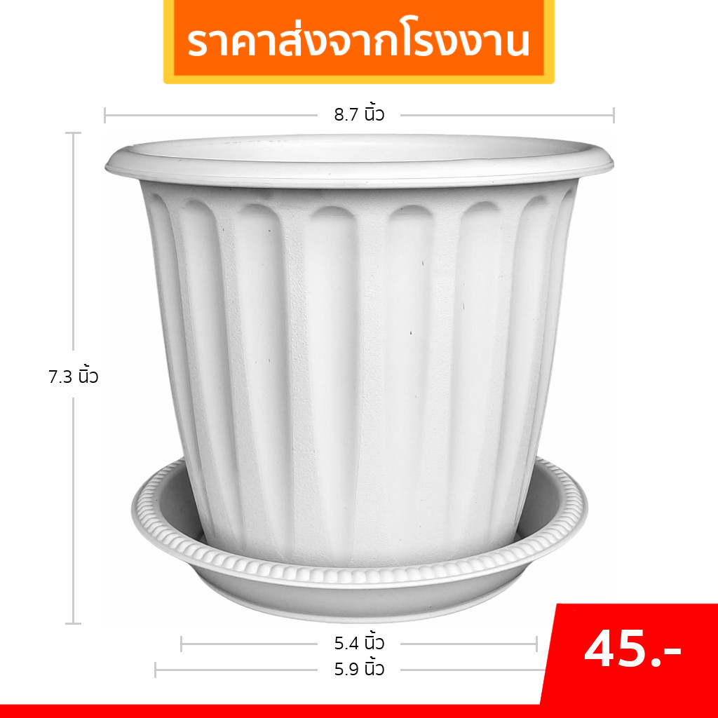 กระถาง กระถางต้นไม้ มินิมอล โรมัน+จาน ขนาด 8 นิ้ว สีดำ สีขาว สีเทา สีอิฐ Bundle 5 ใบ ชิ้น อัน