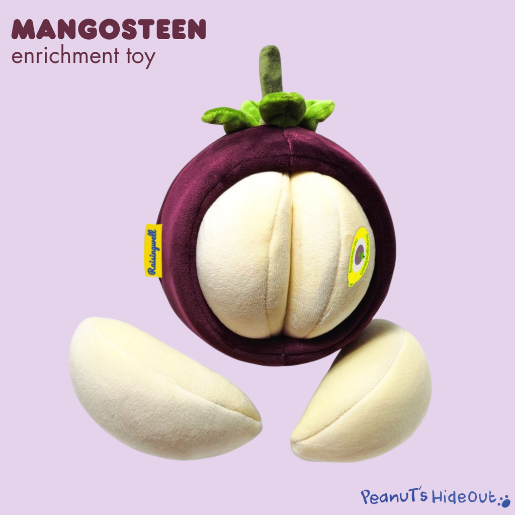 Mangosteen dog interactive snuffle toy | Mainan anjing / dog enrichment toy