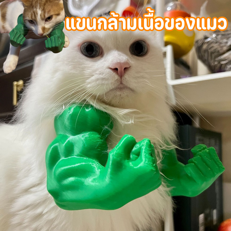 แขนกล้ามเนื้อของแมว ของเล่นแมว เครื่องแต่งกายแมว ของตกแต่งตลกแมว ตลก แมวกล้ามเนื้อ