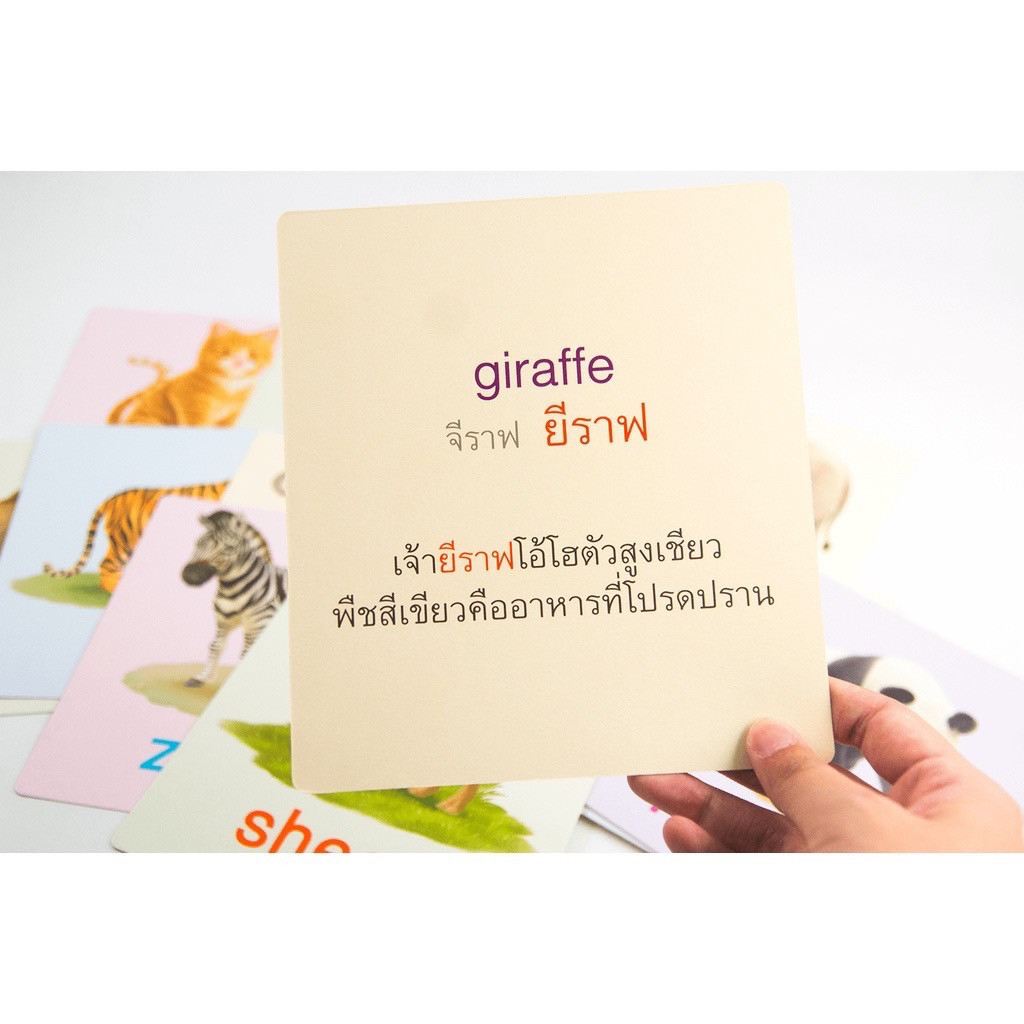 Big card สัตว์น่ารัก 22 ใบ แฟลชการ์ด Flash Card Animal  บัตรคำ เสริมพัฒนาการ flashcard - รูปที่ 6