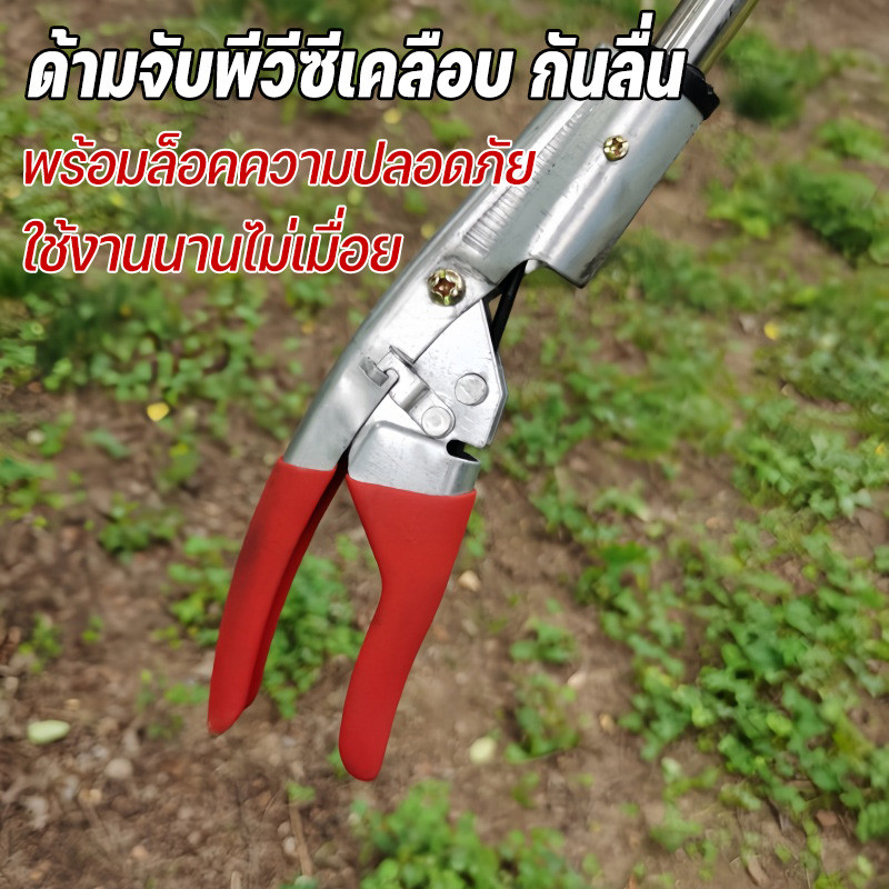 COD กรรไกรตัดกิ่ง กรรไกรตัดกิ่งไม้สูง กรรไกรตัดผลไม้ 3-in-1 หยิบ ตัด เลื่อย 1m/1.5m/2m - รูปที่ 2