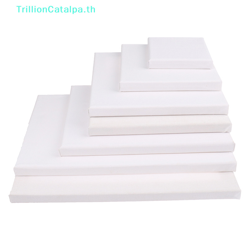 Trillioncatalpa White Blank Square Artist Canvas สําหรับผ้าใบน้ํามัน Paing Board Frame TH
