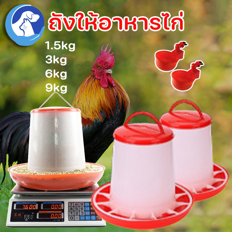 พร้อมส่ง🐔ถังให้อาหารไก่ ถังให้อาหารไก่อัตโนมัติ เครื่องให้อาหารไก่อัตโนมัติ ป้องกันไก่คุ้ยเขี่ย ประหยัดอาหาร